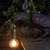 Black Raven Light Lamp